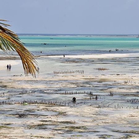 Kimte Beach Lodge Jambiani  Bagian luar foto