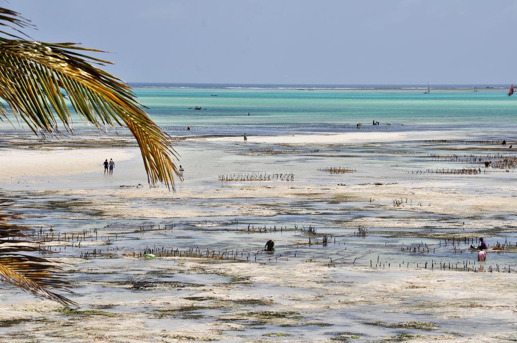 Kimte Beach Lodge Jambiani  Bagian luar foto