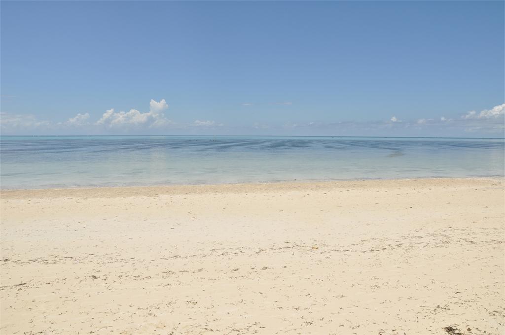 Kimte Beach Lodge Jambiani  Bagian luar foto