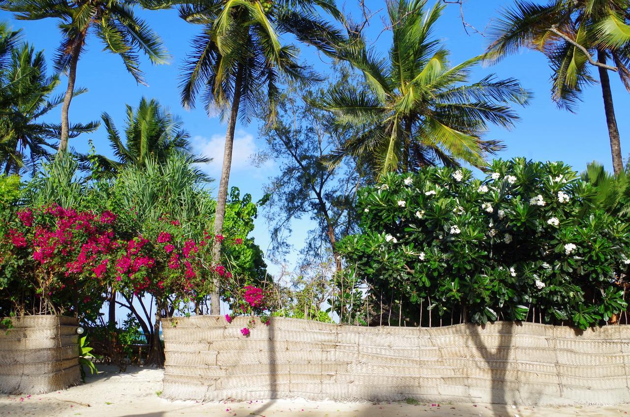 Kimte Beach Lodge Jambiani  Bagian luar foto